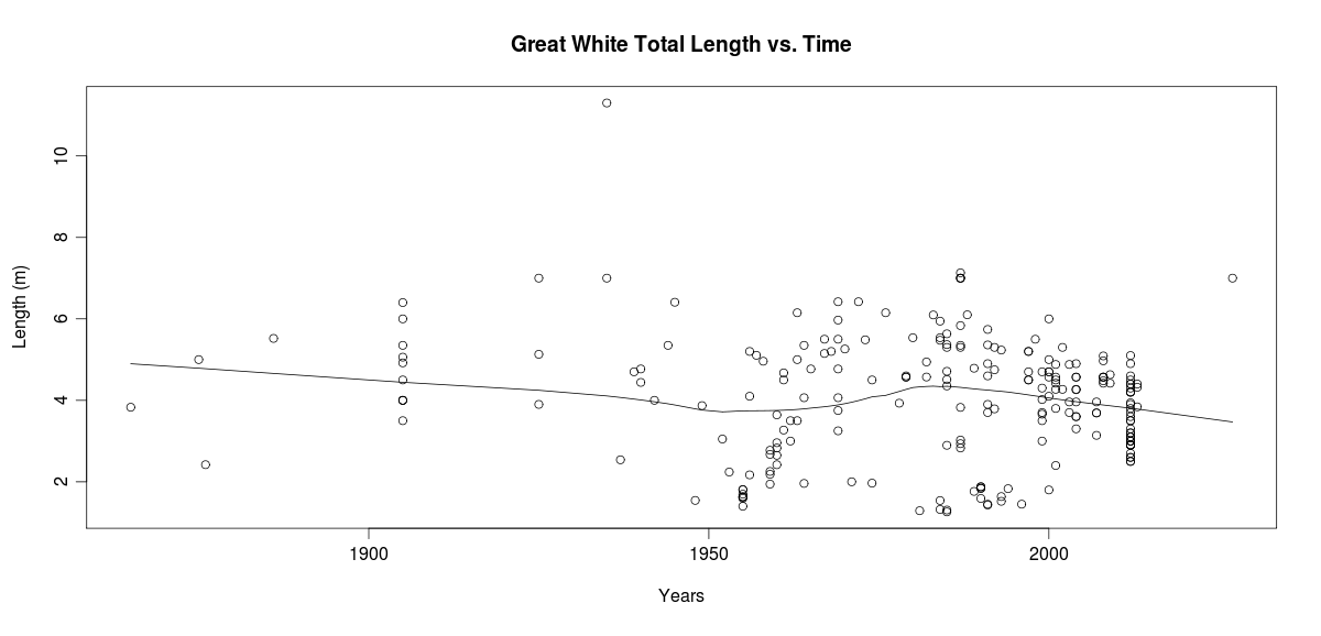 Why Great White Sharks Getting Smaller Should Scare You