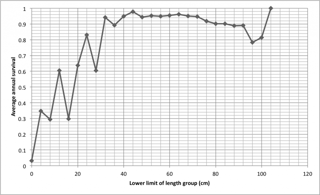 Relationship between length and the clam's chance of stayin' alive. Data from Pearson and Munro (1991)