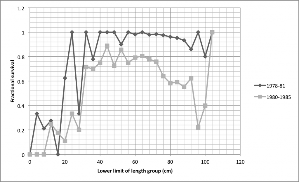 Larger T. gigas survived from 1978-1981 than did from 1980-1985. Data from Pearson and Munro (1991)